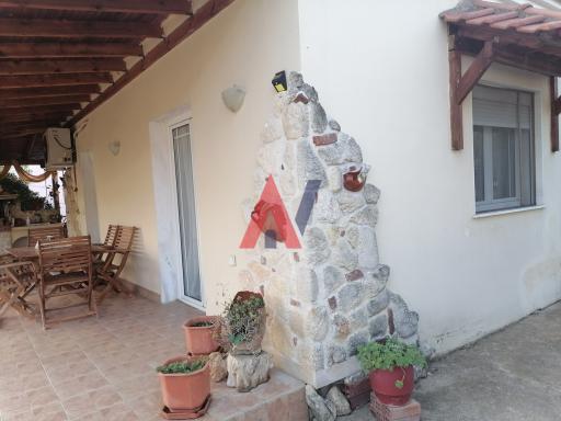 GΕΩ04846