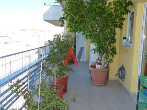 ΔΚΟ05041